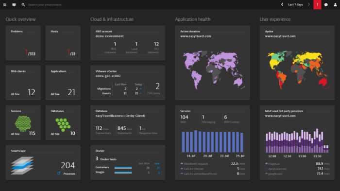 screenshot of DynaTrace