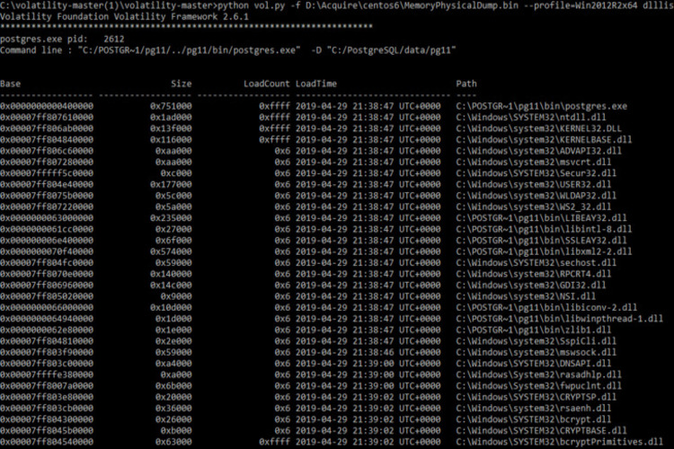 screenshot of The Volatility framework 