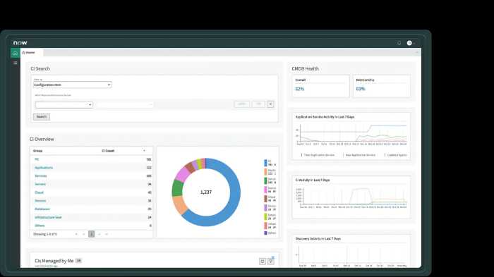 screenshot of Servicenow CMDB