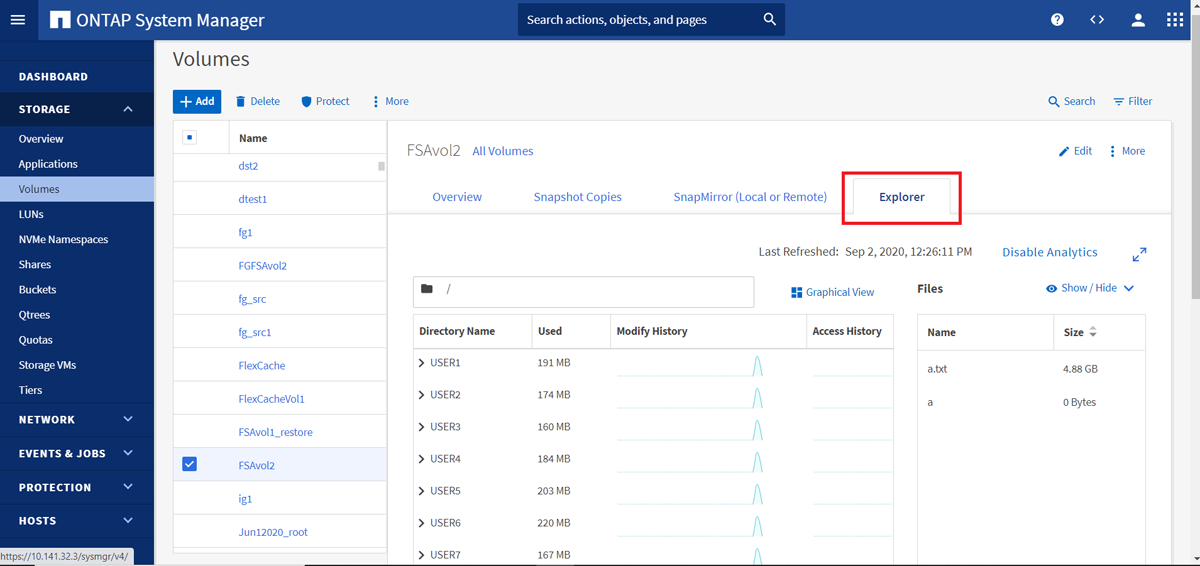 NetApp ONTAP System Manager dashboard